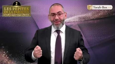  Les 3 Pépites de la Paracha Vayigach