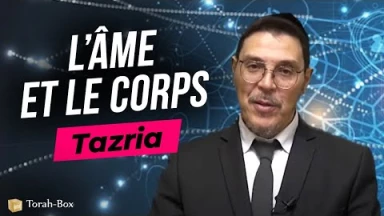 Le Message de la Paracha - Tazria : l’âme et le corps