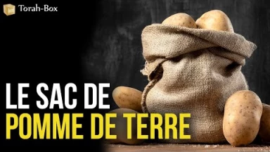 Le sac de pomme de terre