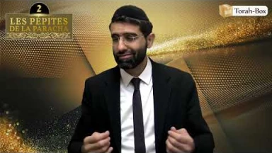 Les 3 Pépites de la Paracha Tsav