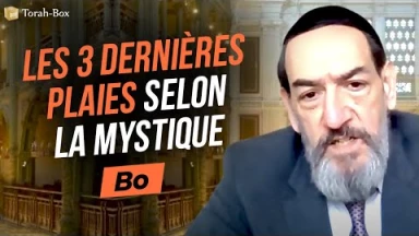 Le Message de la Paracha - Bo : Les 3 dernières plaies selon la mystique