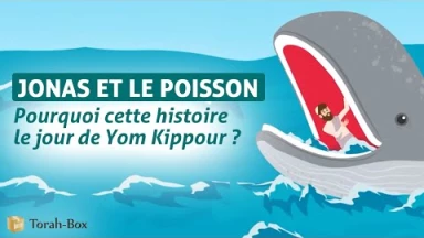 Contes & Midrach animés : Jonas et le poisson