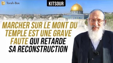 "Marcher Sur Le Mont du Temple Est Une Grave Faute Qui Retarde Sa Reconstruction"  🇰 Kitsour.