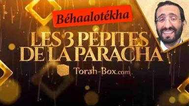 Les 3 Pépites de la Paracha Béhaalotékha
