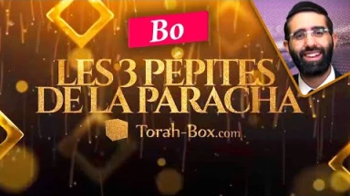 Les 3 Pépites de la Paracha Bo
