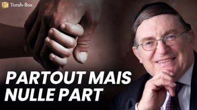 Partout mais nulle part