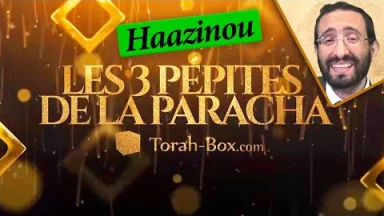 Les 3 Pépites de la Paracha Haazinou