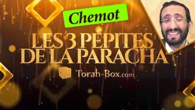 Les 3 Pépites de la Paracha Chemot