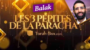 Les 3 Pépites de la Paracha Balak