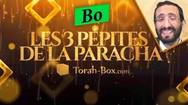 Les 3 Pépites de la Paracha Bo