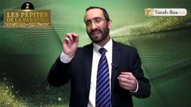 Les 3 Pépites de la Paracha Pékoudé