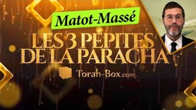 Les 3 Pépites de la Paracha Matot-Massé