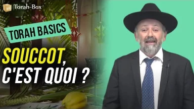 Torah Basics : Souccot, c'est quoi ?