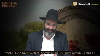 Haggada Project n°29 - "Vanits'ak el Hachem"