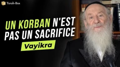 Vayikra : Un Korban n'est pas un sacrifice