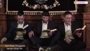 Kinot de Ticha Béav n°10 : Kol Ohala Tityapéa'h / קוֹל אָהֳלָהּ תִּתְיַפֵּחַ