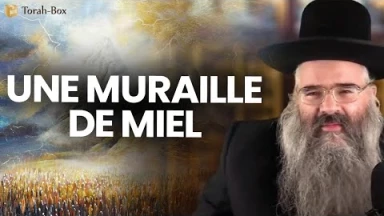 Une muraille de miel