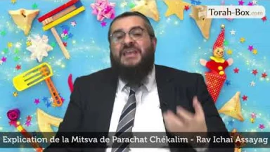 La Mitsva de Parachat Chékalim - Explications