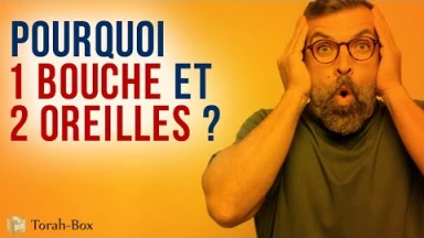 Pourquoi 1 bouche et 2 oreilles ? 