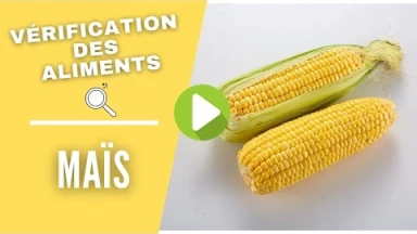 Vérification des aliments : le maïs