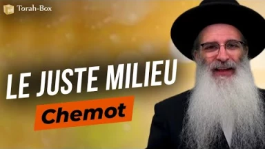 Le Message de la Paracha - Chemot : Le juste milieu