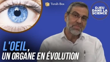 D.ieu dans la Science ! L'œil, un organe en évolution...