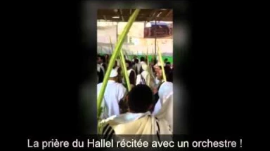 [Vidéo] Un matin de Souccot chez Breslev : le Hallel avec orchestre !