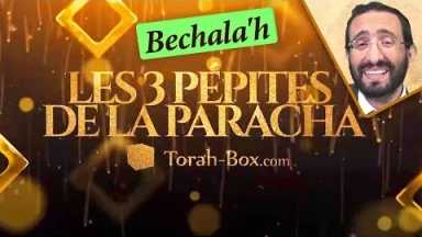 Les 3 Pépites de la Paracha Bechala'h
