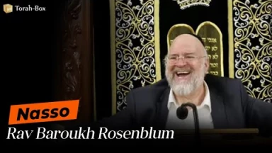 La Paracha Nasso avec Rav Rosenblum