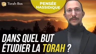 Dans quel but étudier la Torah ? (une pensée de 'hassidout)