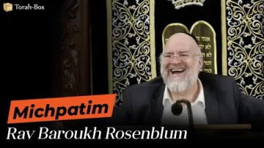 La Paracha Michpatim avec Rav Rosenblum