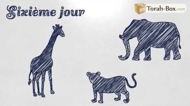 Draw my Paracha : Béréchit