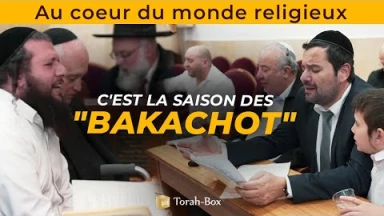 Au cœur du monde religieux : La saison des "Bakachot" !