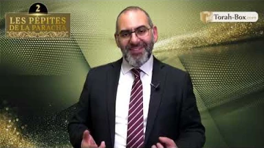 Les 3 Pépites de la Paracha Nasso