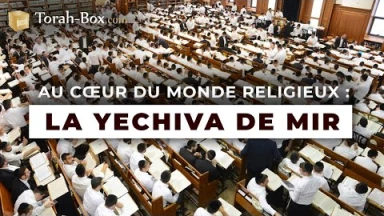 Au cœur du monde religieux : la Yéchivat Mir