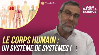 D.ieu dans la Science ! Le corps humain, un système de systèmes !