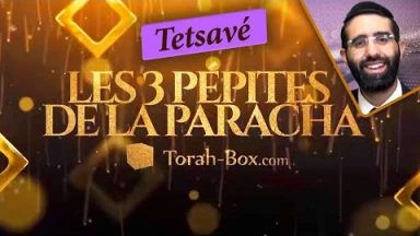 Les 3 Pépites de la Paracha Tetsavé