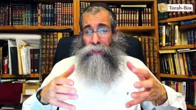 La Paracha Noa'h avec Rav Yisrael Frankforter de Miami