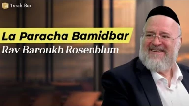 La Paracha Bamidbar avec Rav Rosenblum