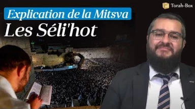 Explications de la Mitsva des Séli'hot