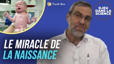D.ieu dans la Science ! Le miracle de la naissance
