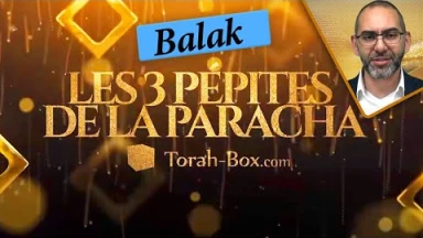Les 3 pépites de la Paracha Balak