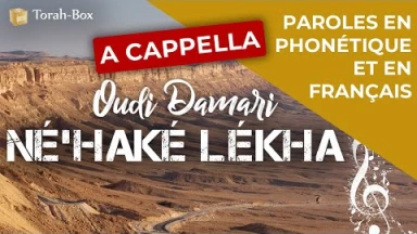 Musique a cappella : la chanson "Né'haké Lékha" de Oudi Damari
