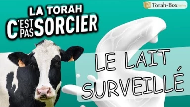 La Torah, c'est pas sorcier : Le lait surveillé