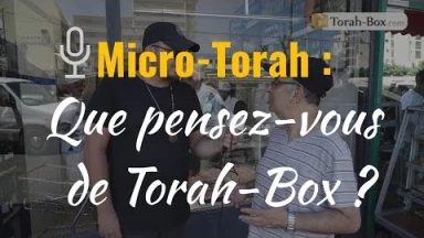 Micro-Torah : Que pensez-vous de Torah-Box ?
