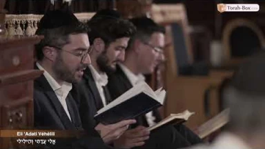 Kinot de Ticha Béav n°20 : Eli 'Adati Véhélili / אֱלִי עֲדָתִי וְהֵילִילִי
