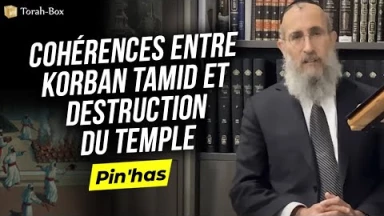 Le Message de la Paracha - Pin'has : Cohérences entre Korban Tamid & destruction du temple