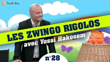 Les Zwingo Rigolos avec Yossi Hakosem : Une bleue parmi les rouges