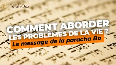 Le message de la Paracha : Bo : Comment aborder les problèmes de la vie ?