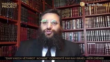 Haggada Project n°13 - "Dam Vaèch Vétimrot 'Achane"